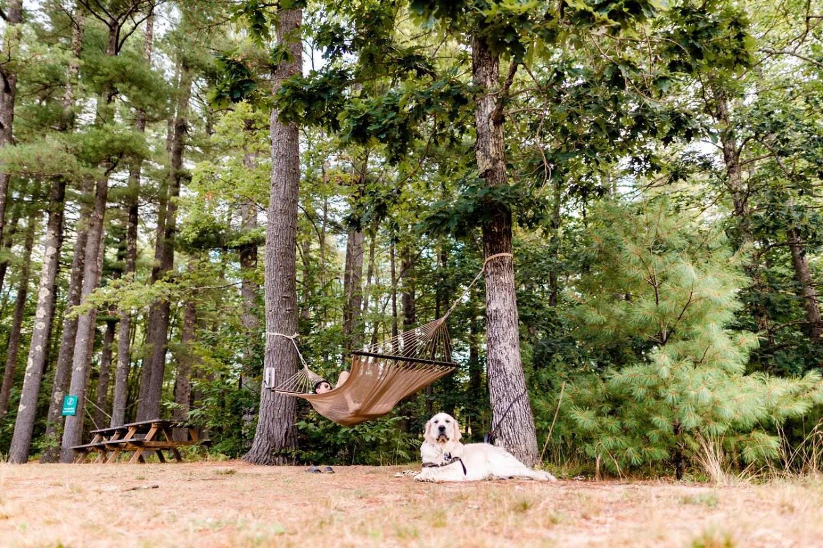 Huttopia Southern Maine Sanford Dış mekan fotoğraf